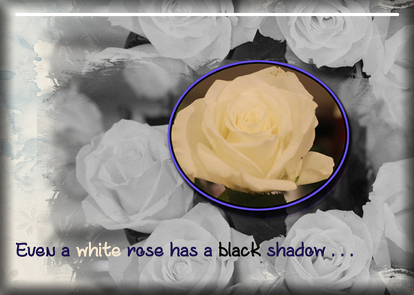 ATC 2019-002 A White Rose