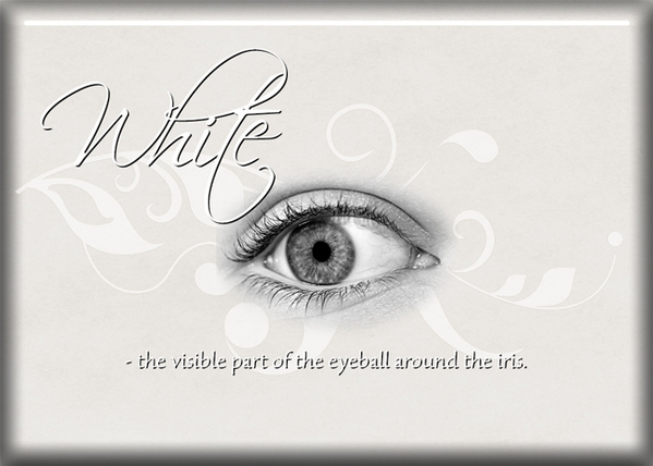 ATC 2019-008 White