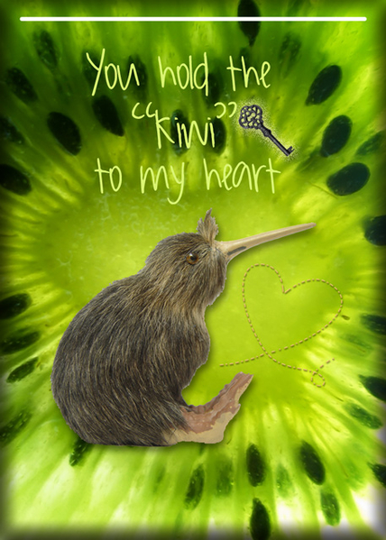 ATC 2019-029 Kiwi