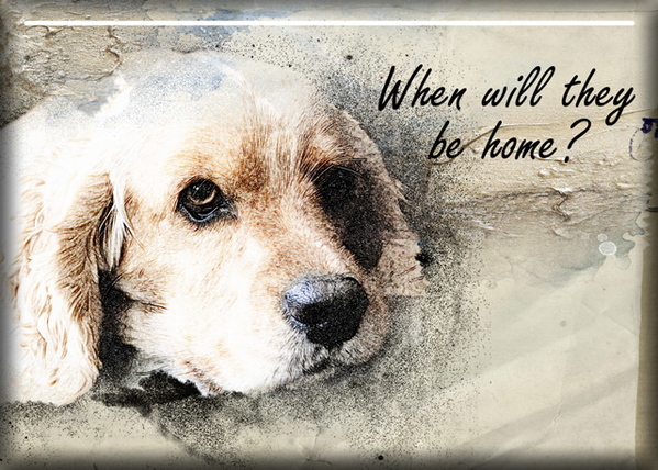 ATC 2019-039 When Will They Be Home?