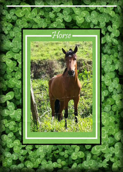 ATC 2019-042 Horse