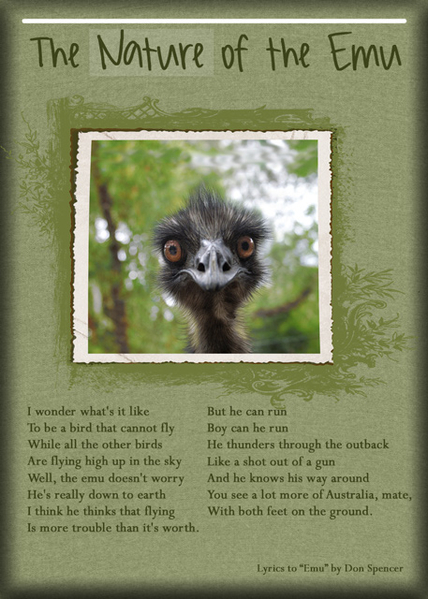 ATC 2019-044 The Nature of the Emu