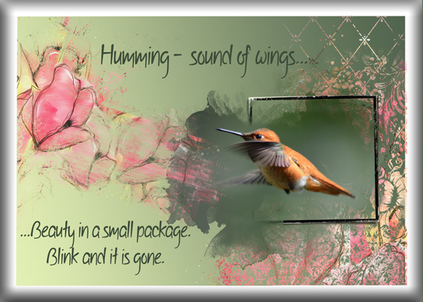 ATC 2019-049 Humming
