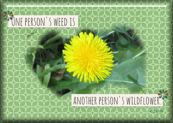 ATC 2019-057 A Weed