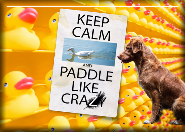 ATC 2019-076 Keep Calm