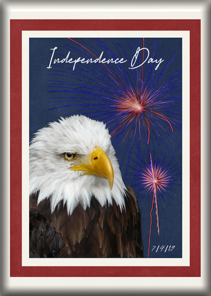 ATC 2019-085 Independence Day