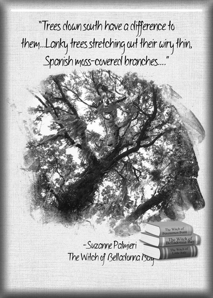 ATC 2019-086 Trees Down South