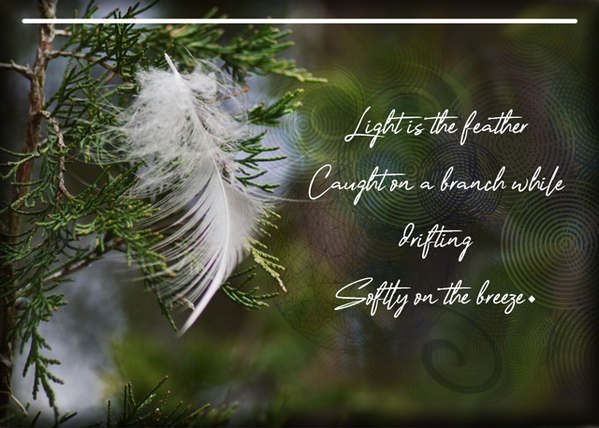 ATC 2019-089 A Feather Haiku