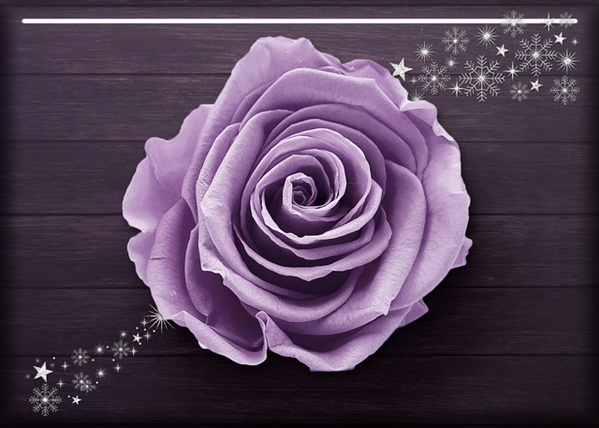 ATC 2019-093 Purple