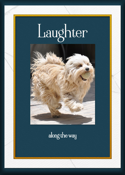 ATC 2019-096 Laughter