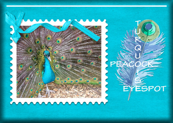 ATC 2019-100 Turquoise