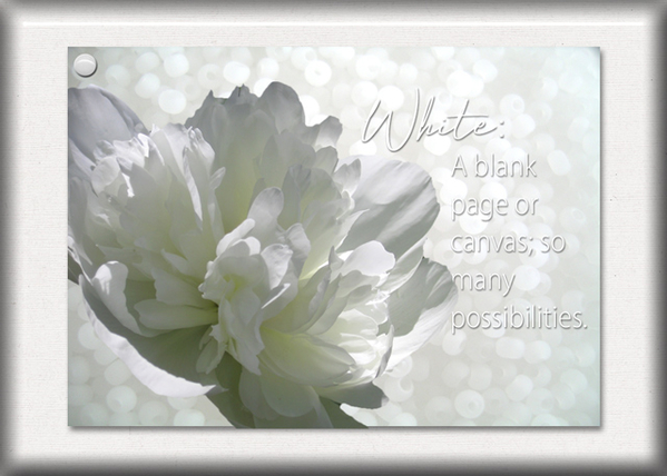 ATC 2019-107 White