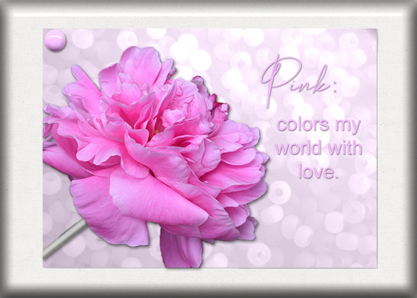 ATC 2019-112 Pink