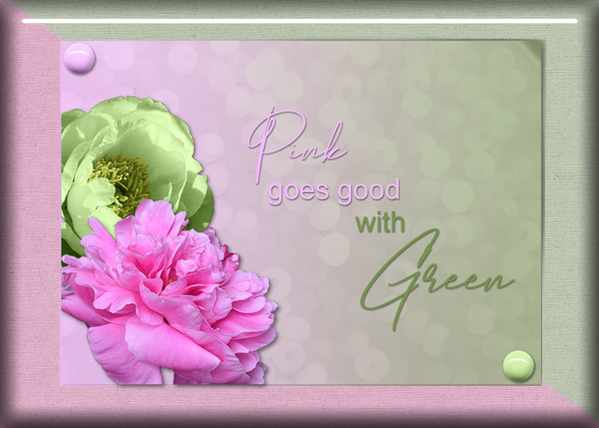 ATC 2019-113 Pink + Green