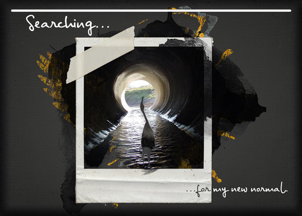 ATC 2019-124 Searching