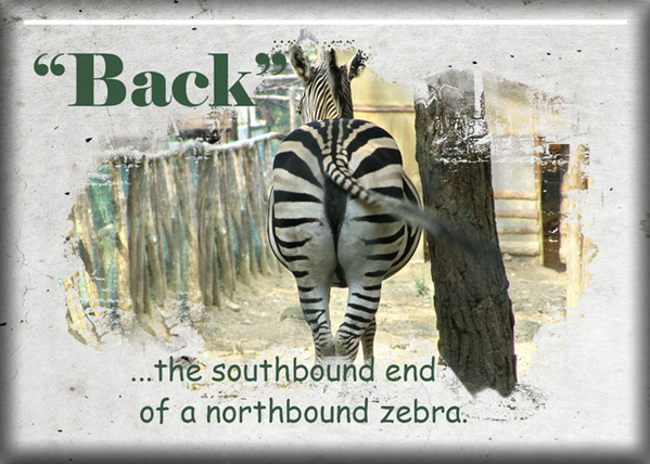 ATC 2019-125 Back