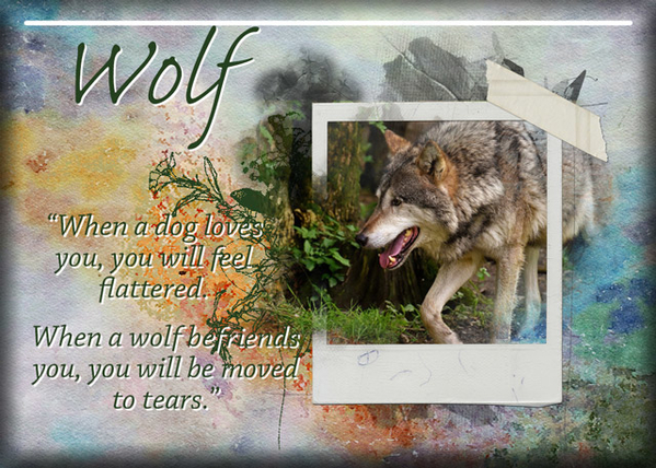 ATC 2019-141 Wolf
