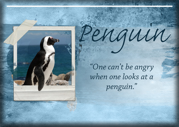 ATC 2019-142 Penguin
