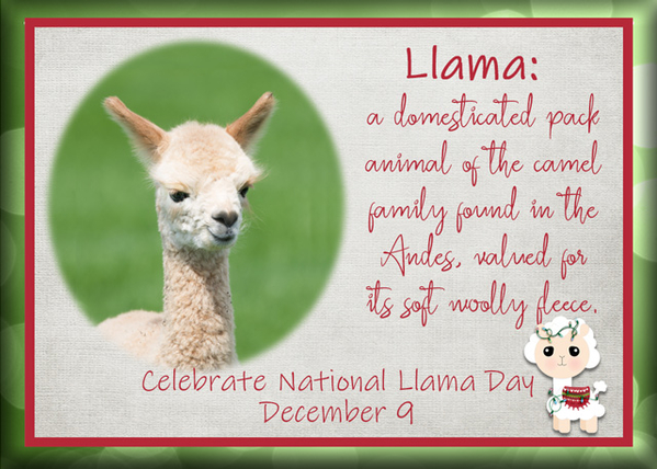 ATC 2019-144 Llama