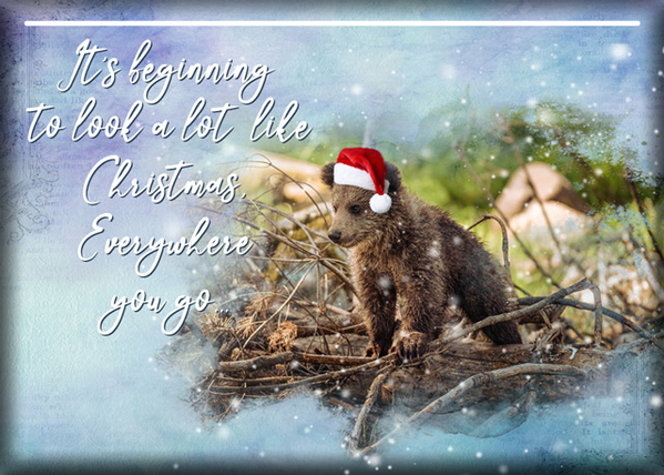 ATC 2019-145 It's Beginning to Look a Lot Like Christmas