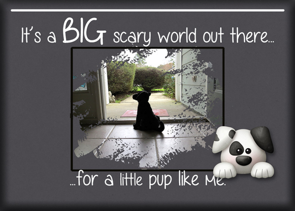 ATC 2020-005 It's a BIG Scary World