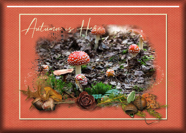 ATC 2020-011 Autumn is Here