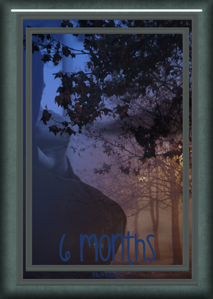 ATC 2020-041 6 Months