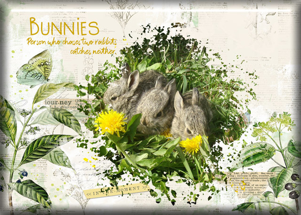 ATC 2020-054 Bunnies