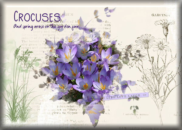ATC 2020-055 Crocuses