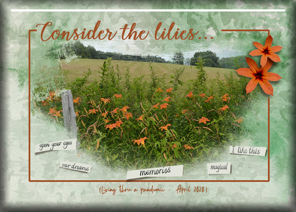 ATC 2020-066 Consider the Lilies