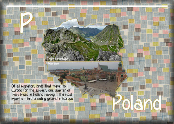 ATC 2020-067 P