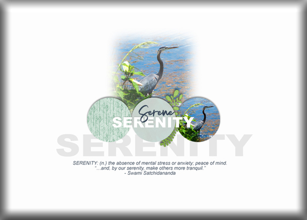ATC 2020-092 Serenity