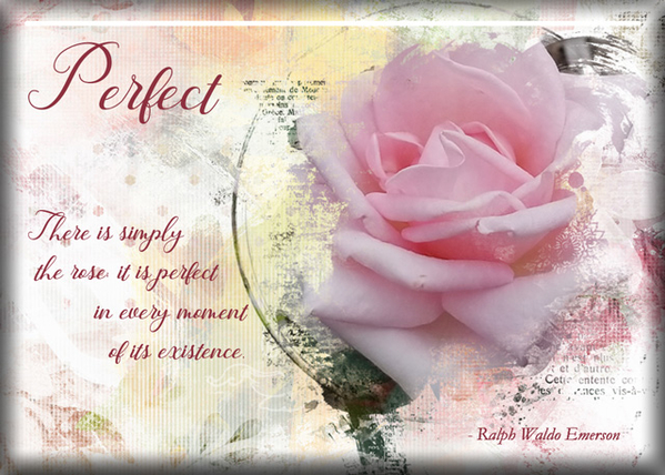 ATC 2020-096 Perfect