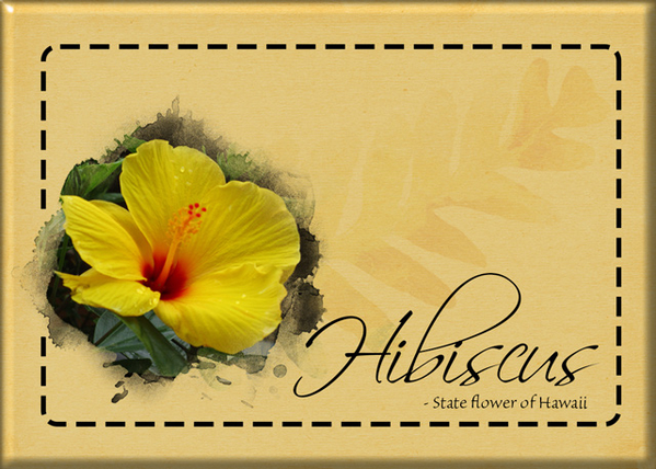 ATC 2020-097 Hibiscus