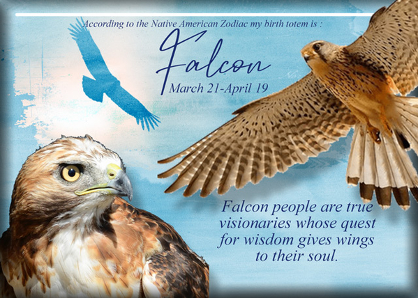 ATC 2020-110 Falcon