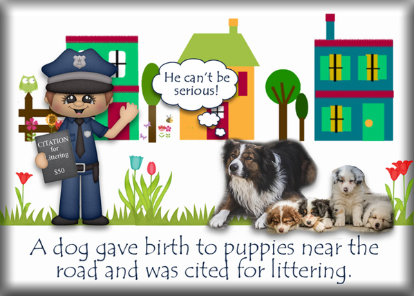 ATC-2020-118-A-Dog-Gave-Birth