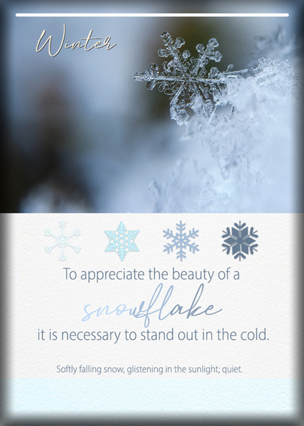 ATC 2020-142 Winter