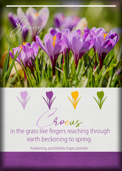 ATC-2020-144-Spring