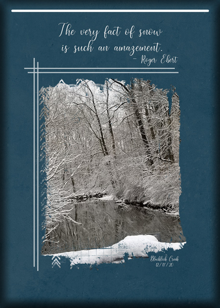 ATC 2020-173 The Very Fact of Snow