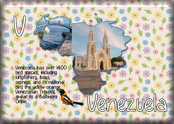 ATC 2020-88 V