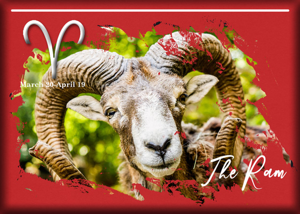 ATC 2021-002 The Ram