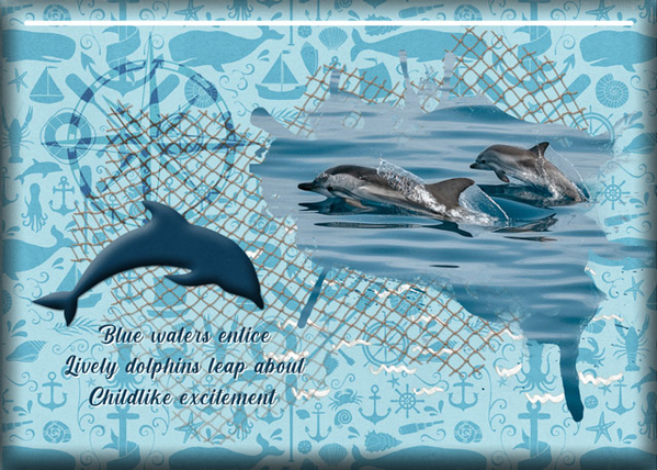 ATC 2021-025 Blue Waters Entice