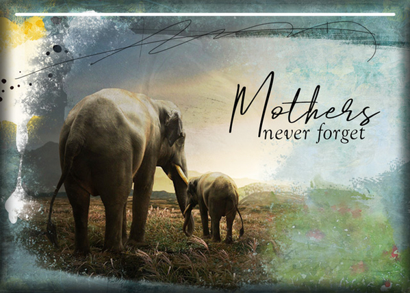 ATC 2021-027 Mothers