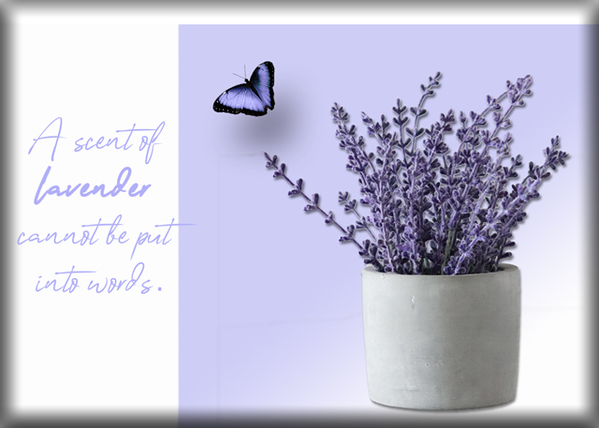 ATC 2021-029 A Scent of Lavender