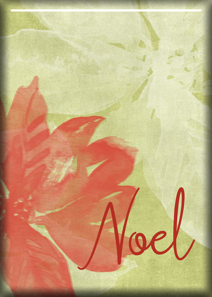 ATC 2021-035 Noel