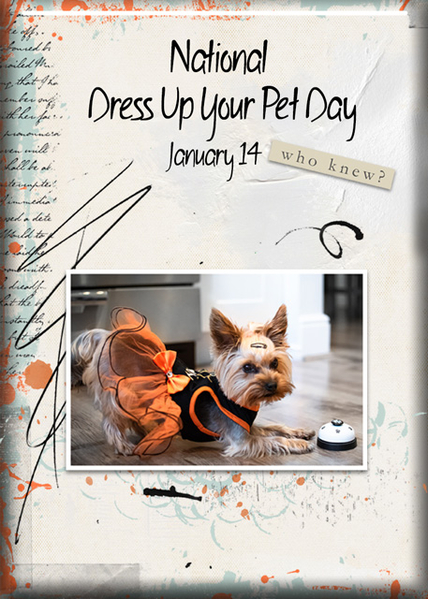ATC 2022-002 National Dress Up Your Pet