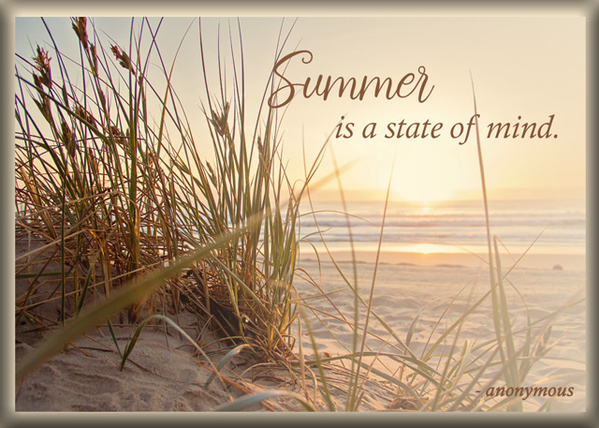 ATC 20222-013 Summer