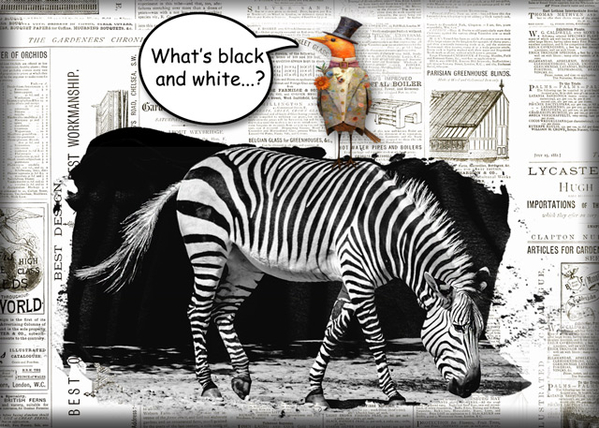 ATC 2023-018 What's Black + White
