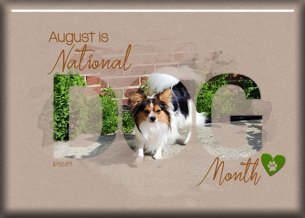 ATC 2023-019 August is National Dog Month