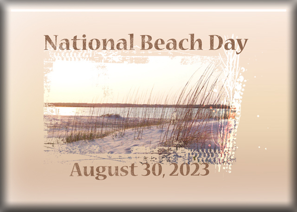 ATC 2023-026 National Beach Day